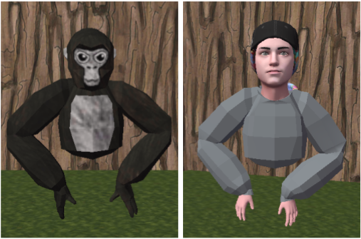 Gorilla and human avatars.